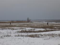 post-29766-0-06800100-1449426868_thumb.j