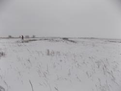 post-29766-0-35619900-1449426957_thumb.j