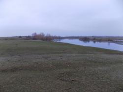 post-29766-0-64397800-1449511204_thumb.j