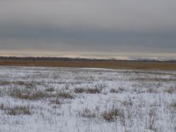 post-29766-0-73378900-1449426816_thumb.j