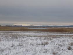 post-29766-0-74393700-1449426886_thumb.j