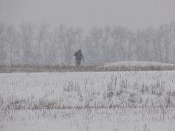 post-29766-0-75934200-1449426905_thumb.j