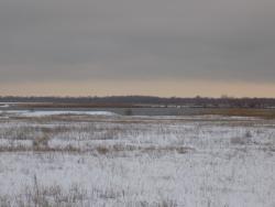 post-29766-0-76458200-1449426850_thumb.j