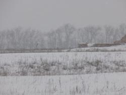 post-29766-0-76480200-1449426924_thumb.j