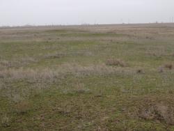 post-29766-0-80126800-1449511286_thumb.j