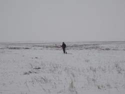 post-29766-0-81442700-1449426941_thumb.j