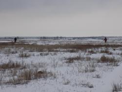 post-29766-0-83685800-1449426780_thumb.j