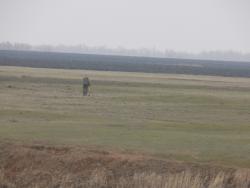 post-29766-0-84089500-1449511249_thumb.j