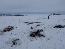 post-29766-0-87583000-1449236574_thumb.j