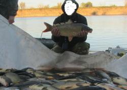 post-31760-0-70816900-1449485861_thumb.j