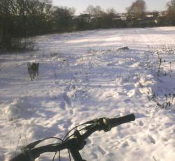 post-32197-0-15885200-1449325343_thumb.j