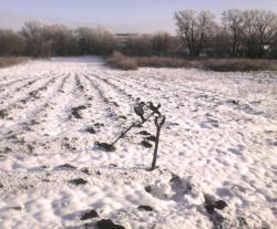 post-32197-0-66623800-1449324967_thumb.j