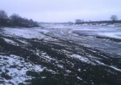 post-32197-0-91599900-1449505179_thumb.j