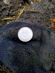 post-32874-0-02794700-1449060853_thumb.j