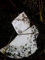 post-32874-0-04446200-1449060998_thumb.j