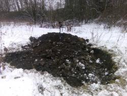 post-32874-0-58516200-1449061237_thumb.j