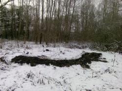 post-32874-0-97654600-1449060756_thumb.j