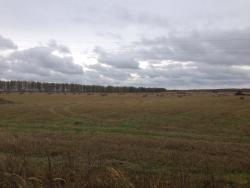 post-33129-0-59064800-1449153762_thumb.j