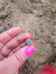 post-33129-0-62394400-1449066817_thumb.j