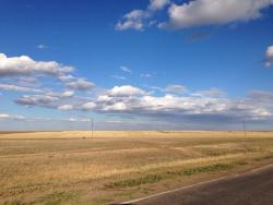 post-33129-0-80864100-1449754173_thumb.j