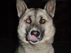 post-33717-0-04963600-1449246752_thumb.j