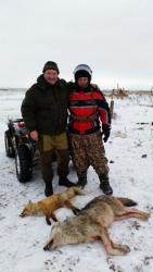 post-7195-0-23699200-1449865664_thumb.jp