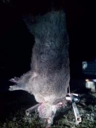 post-7195-0-39063400-1449693733_thumb.jp