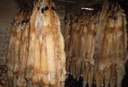 post-7195-0-41827600-1449693668_thumb.jp