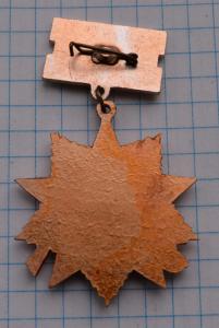 DSC_2444 (Custom).JPG