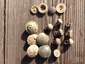 tiAPnnGiRuI.thumb.jpg.0ca78a461685552510