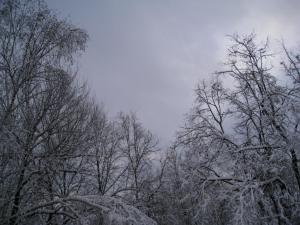 18.thumb.JPG.b86d011c1aee767fd6570f95714