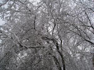 2.thumb.JPG.6f7a206d9ab127447a71e0e3b03b