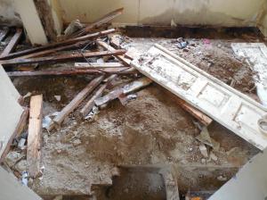 20.thumb.jpg.a0a7a6697aa08b5a2ca1f0090cb