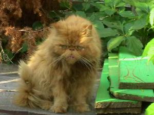 2015-09-27 10-01-00 (3).JPG