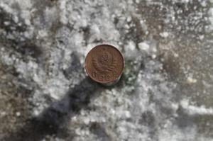 десюнчик 2.jpg