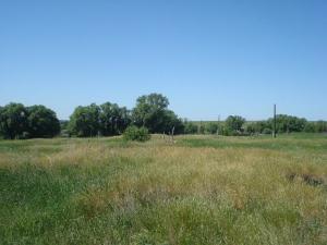 место копа.jpg