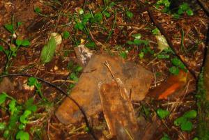 Копия IMG_0301.JPG