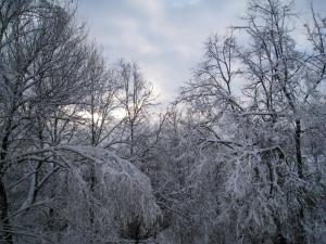 6.thumb.JPG.a0719c5784f5bed3d3dc169b3f43