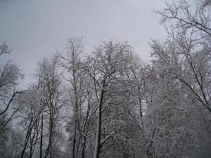 9.thumb.JPG.d75a5a55395f19b31862f6b77dc1