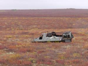 S1120047.thumb.JPG.abdcb9f21fa0d9f93f0fc