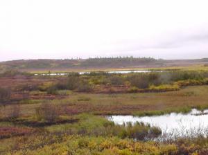 S1120051.thumb.JPG.2badec3f16796188b5992