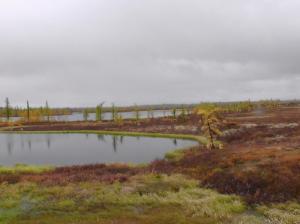 S1120061.thumb.JPG.94e5e23a4ed92984f7054