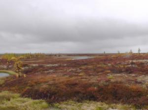 S1120062.thumb.JPG.16139dfb01f68c959b4a6