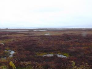 S1120063.thumb.JPG.d8b6be954498d43ccfb38