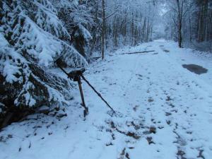 SAM_0480.1.thumb.jpg.3ab90b7a354419c9228