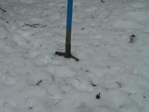 SAM_0513.1.thumb.jpg.664c052049b2250a6a2