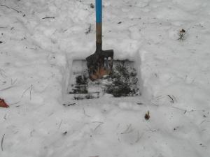 SAM_0514.1.thumb.jpg.ed7cfb6d9824206f9d3