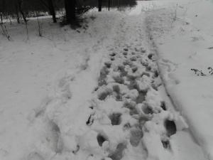 SAM_0519.1.thumb.jpg.5df9f4677f17c806fc5