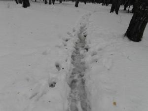 SAM_0523.1.thumb.jpg.09238c665c96db4f7a1