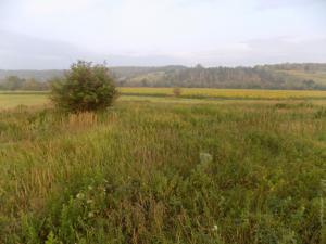 1.thumb.JPG.0a20558666646e3515661ef5c652